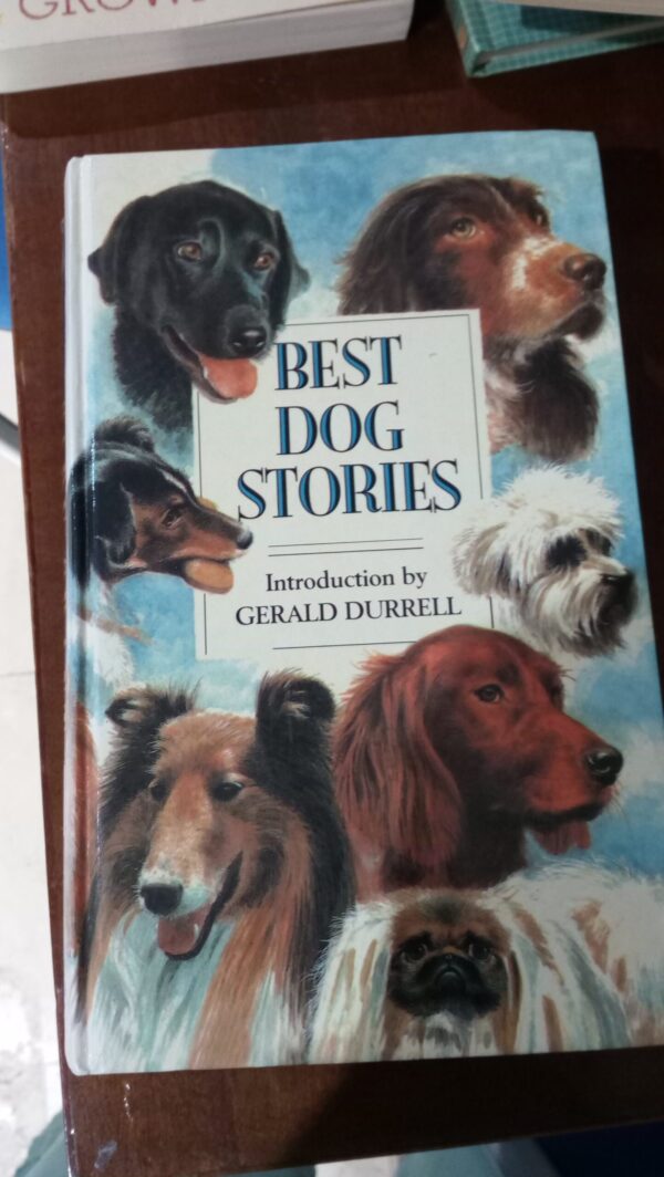 BEST DOG STORIES