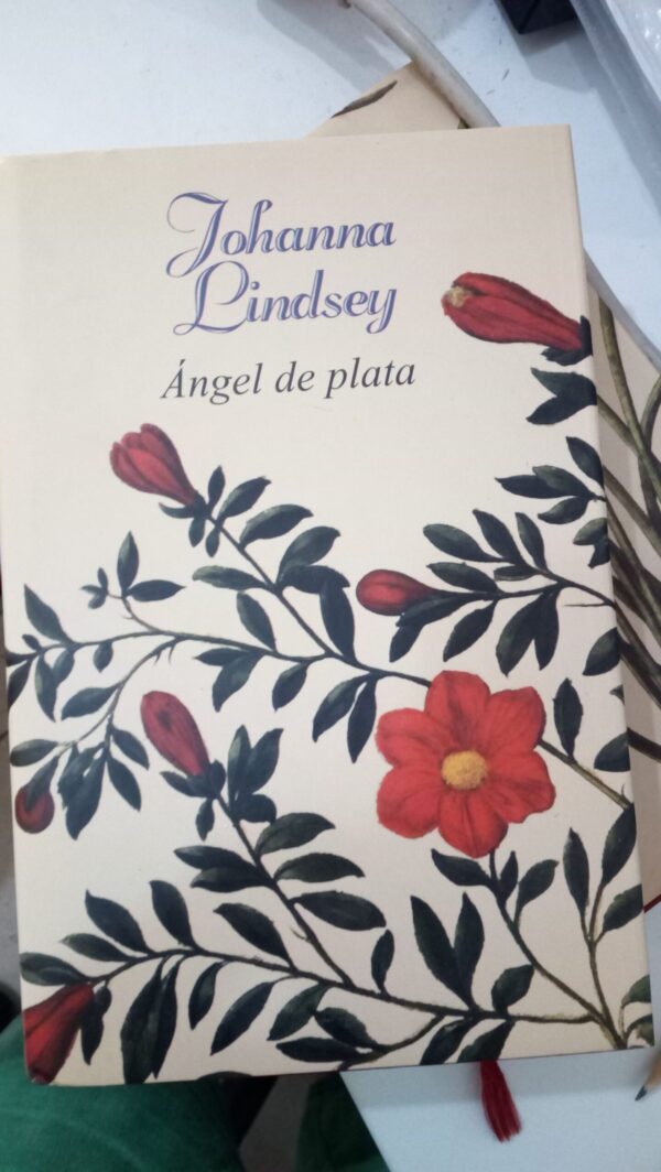 ÁNGEL DE PLATA - Imagen 3