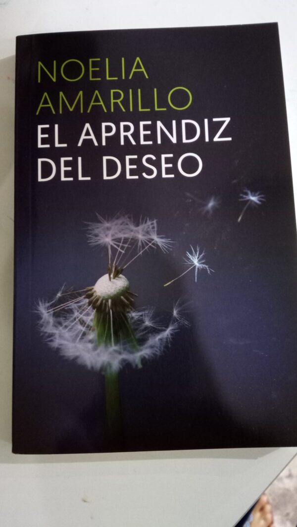 EL APRENDIZ DEL DESEO